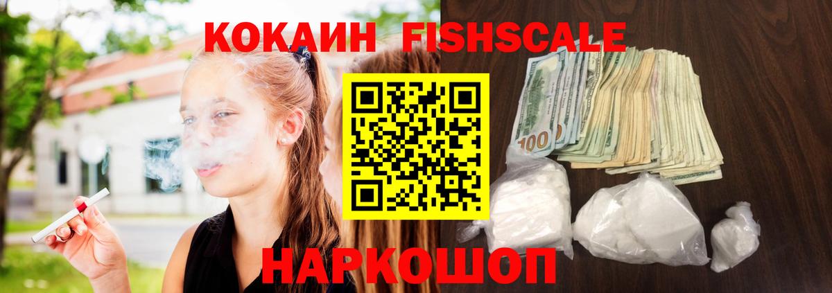 Кокаин FishScale  Вход с VPN  COCAIN FishScale  КОКАИН  Салехард 
