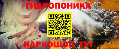 ешки Будённовск