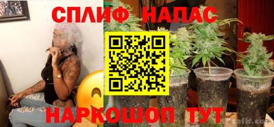 ешки Будённовск