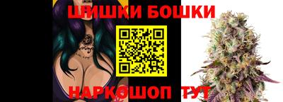 ешки Будённовск