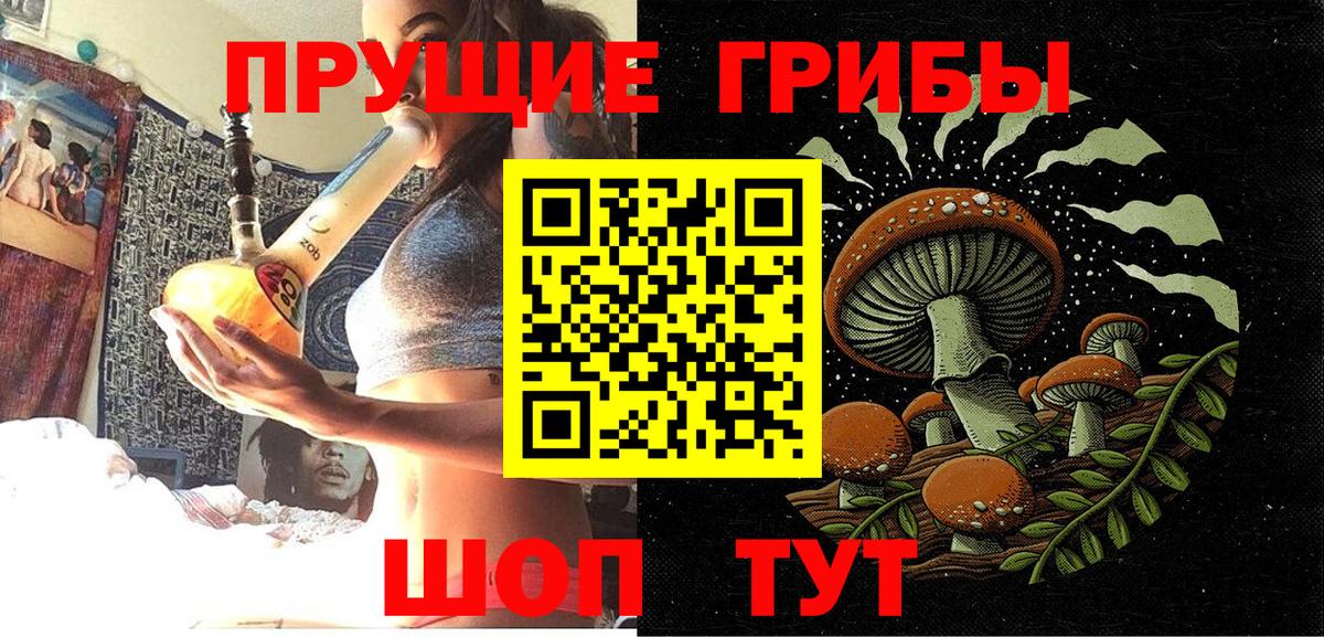 Псилоцибиновые грибы мицелий Салехард